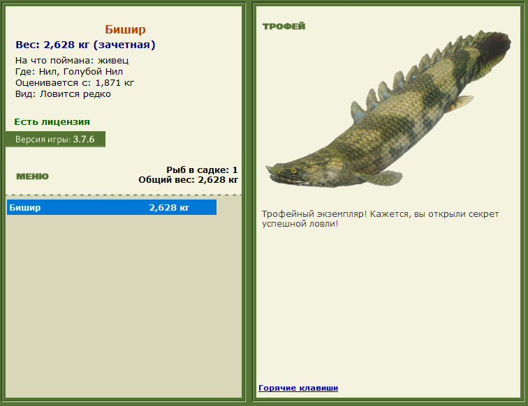 турниры • РУССКАЯ РЫБАЛКА