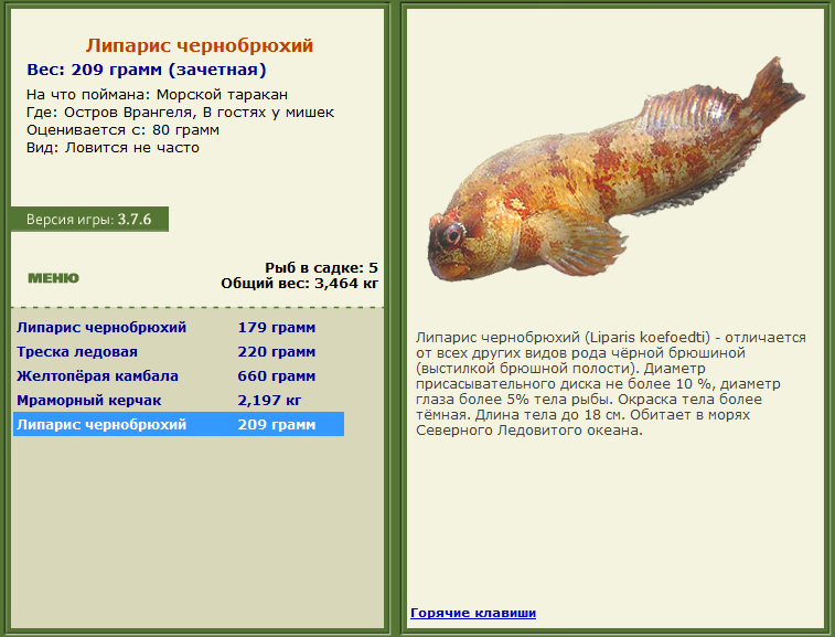 турниры • РУССКАЯ РЫБАЛКА