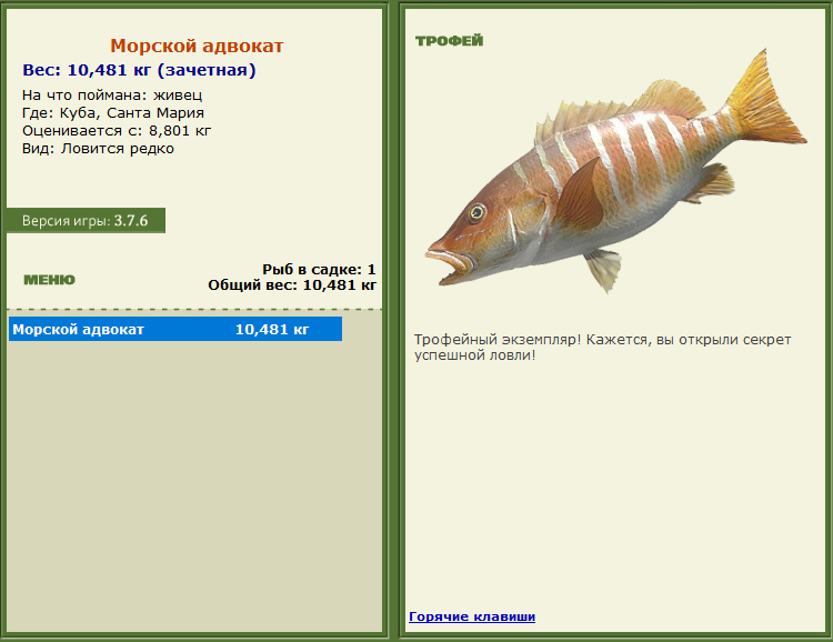турниры • РУССКАЯ РЫБАЛКА