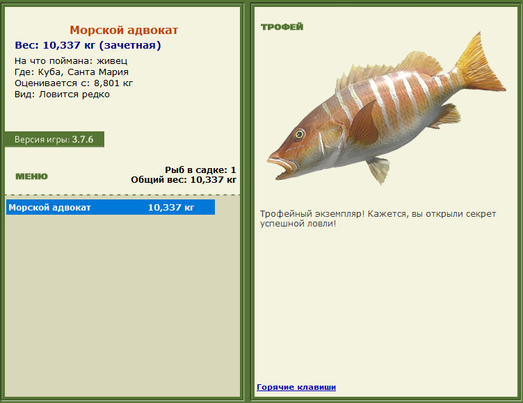 турниры • РУССКАЯ РЫБАЛКА