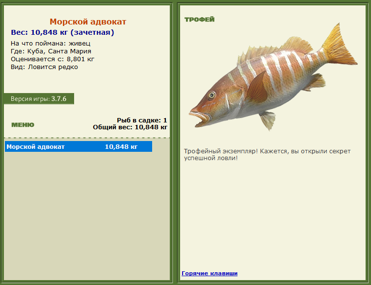 турниры • РУССКАЯ РЫБАЛКА