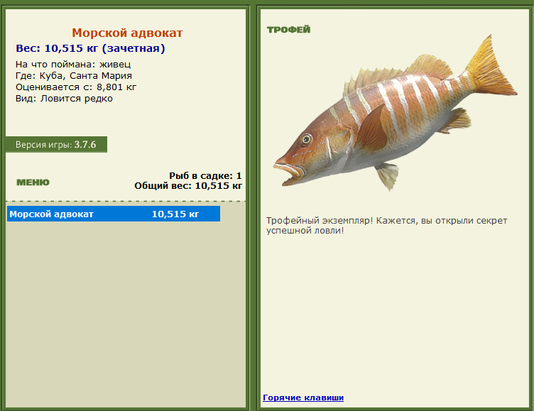 турниры • РУССКАЯ РЫБАЛКА