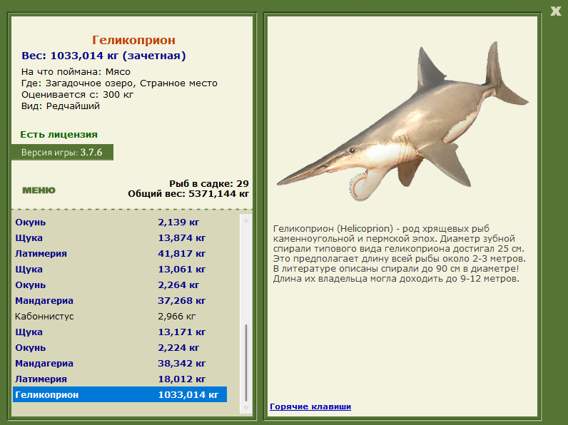 Геликоприон 