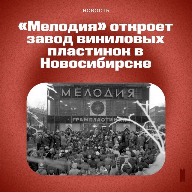  Винил