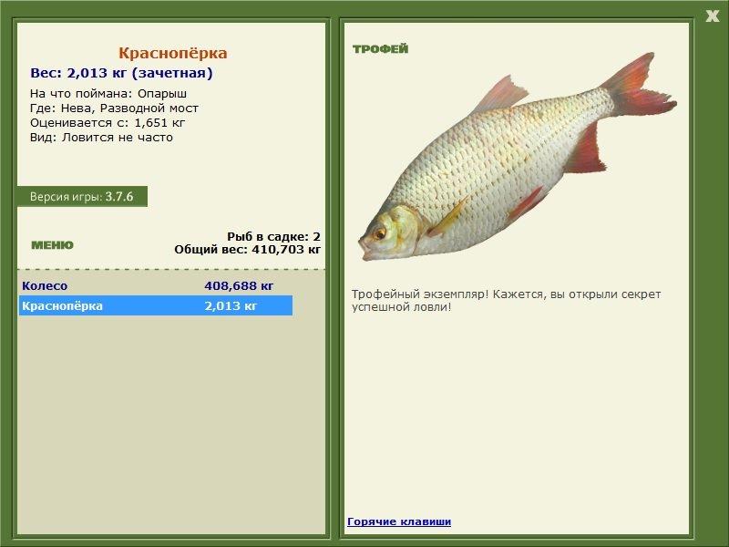 Разводной мост 