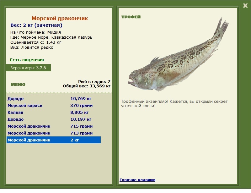 Морской дракончик 