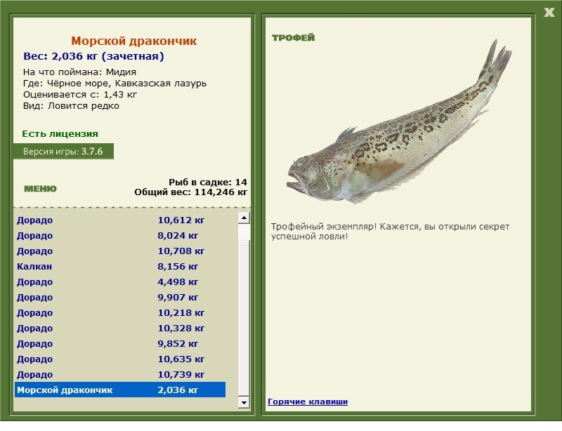 Морской дракончик 