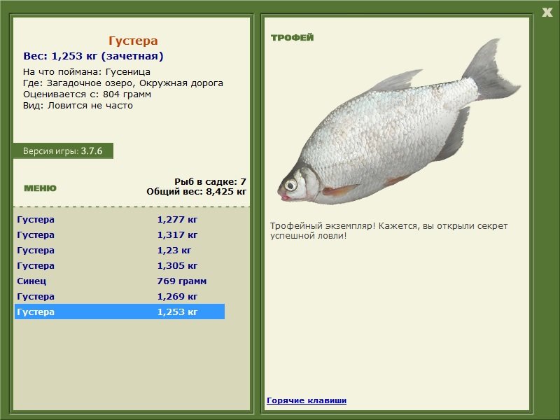 Окружная дорога 