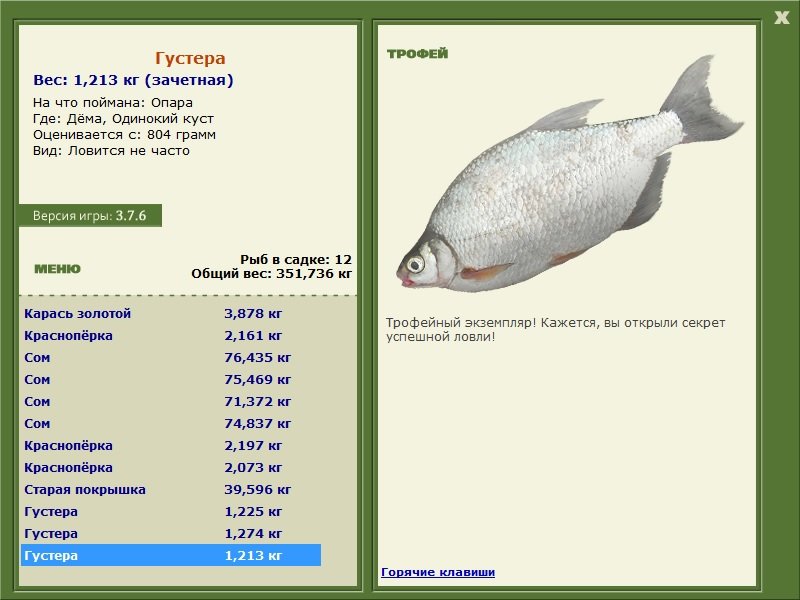 Одинокий куст 