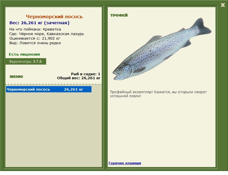 Черноморский лосось 