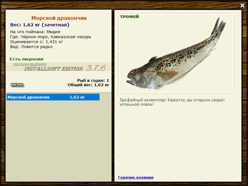 Морской дракончик 