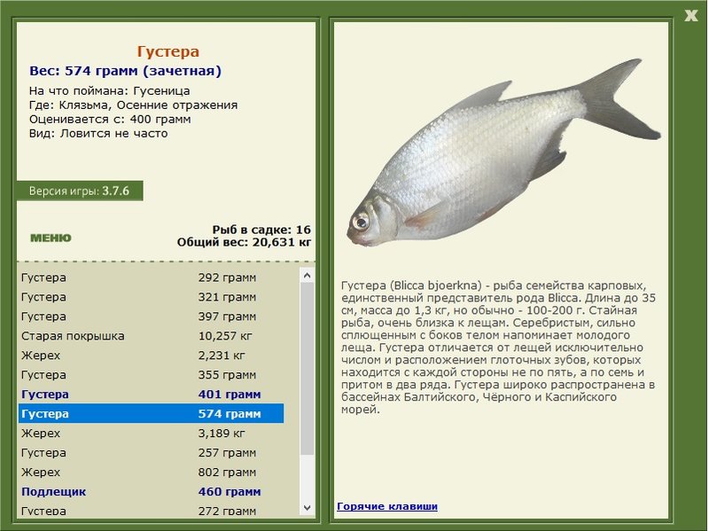 РУССКАЯ РЫБАЛКА Installsoft Edition 