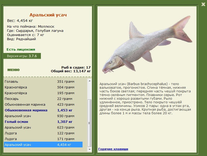 турниры • РУССКАЯ РЫБАЛКА