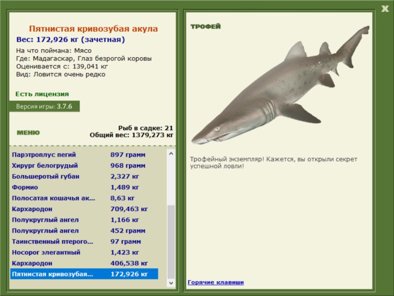 Пятнистая кривозубая акула 