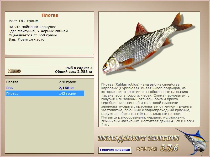 У чёрных камней 
