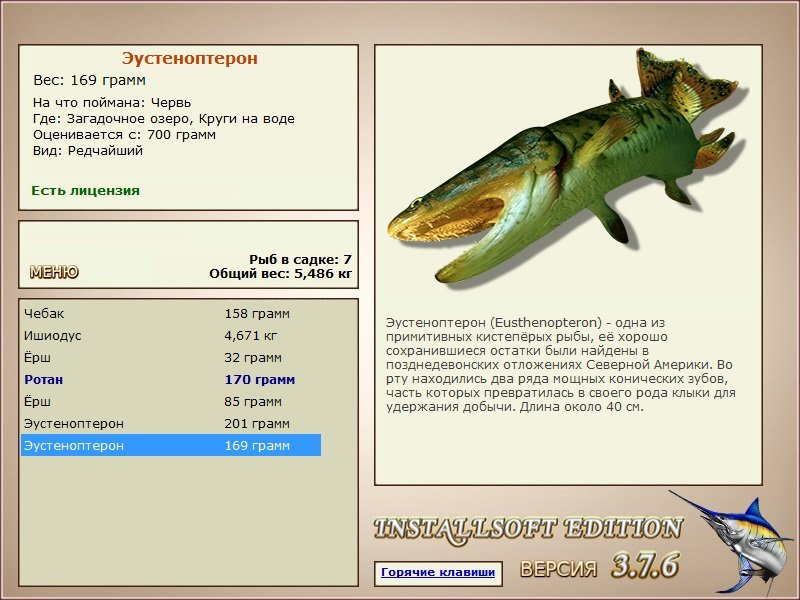 Круги на воде 