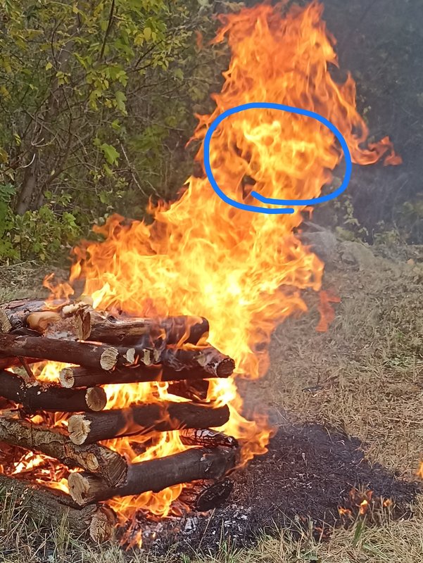 Огненный Мир-Плазма Огня- - Страница 7 - Форум 