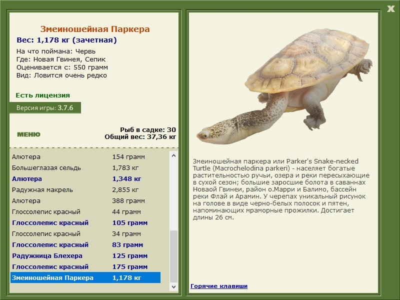 турниры • РУССКАЯ РЫБАЛКА
