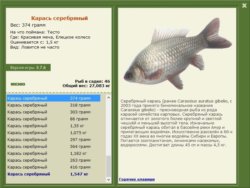 турниры • РУССКАЯ РЫБАЛКА