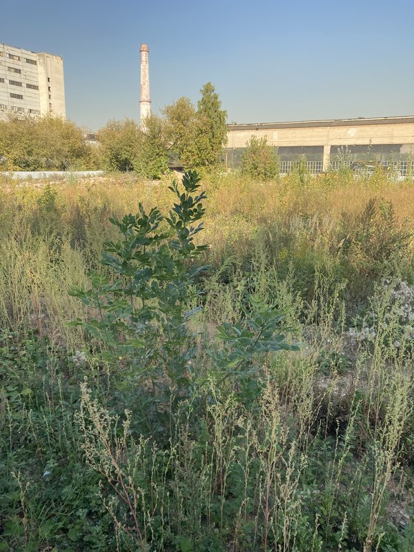  Ответить