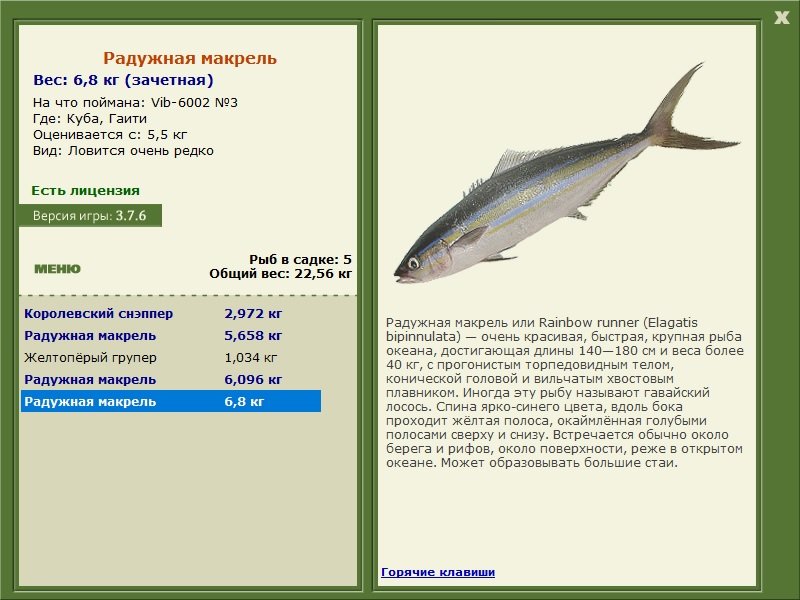 турниры • РУССКАЯ РЫБАЛКА