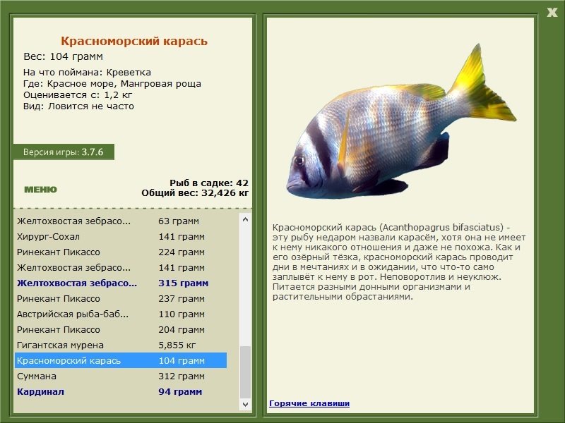 РУССКАЯ РЫБАЛКА Installsoft Edition 