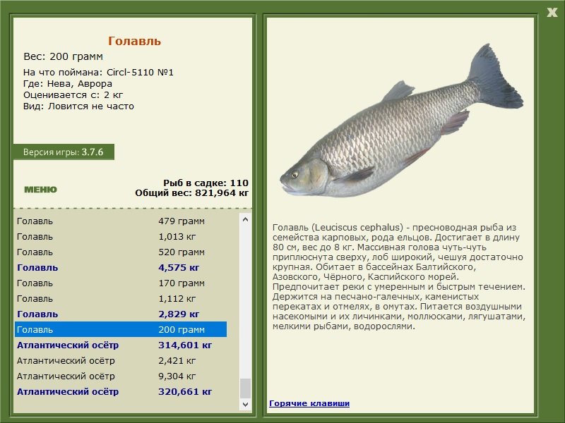 турниры • РУССКАЯ РЫБАЛКА