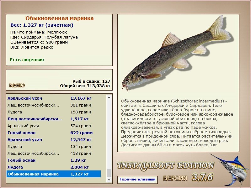 турниры • РУССКАЯ РЫБАЛКА
