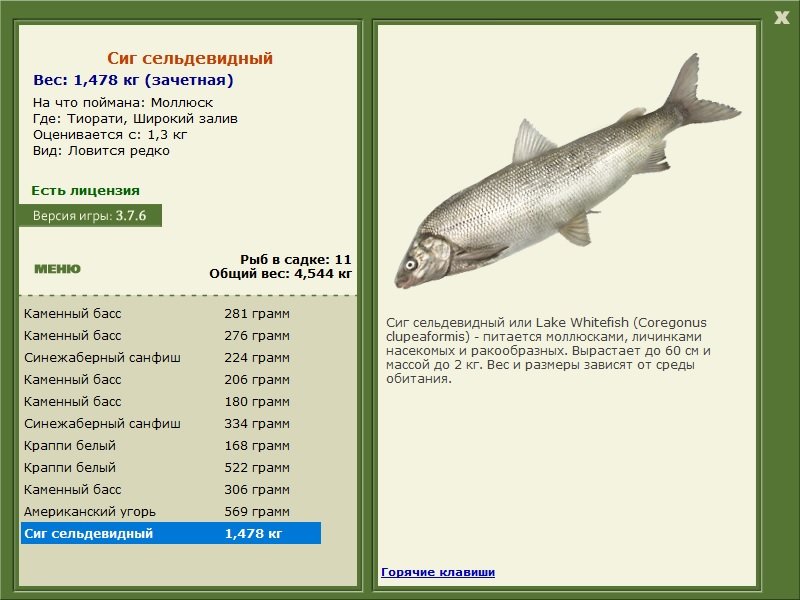 турниры • РУССКАЯ РЫБАЛКА