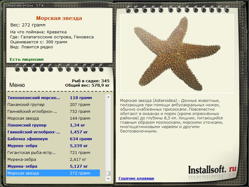 турниры • РУССКАЯ РЫБАЛКА