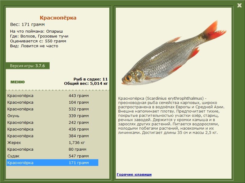 турниры • РУССКАЯ РЫБАЛКА