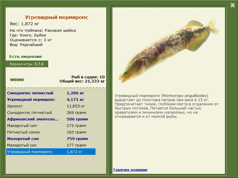 турниры • РУССКАЯ РЫБАЛКА