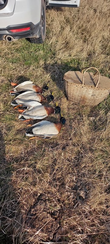 Югра, ЯНАО) - Ответить