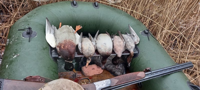 Югра, ЯНАО) - Ответить