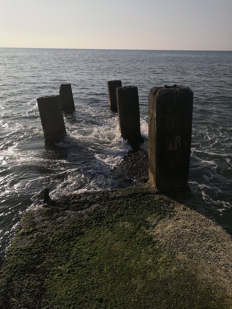 ФОРУМ ЛЮБИТЕЛЕЙ КОЛЛИ И ШЕЛТИ 