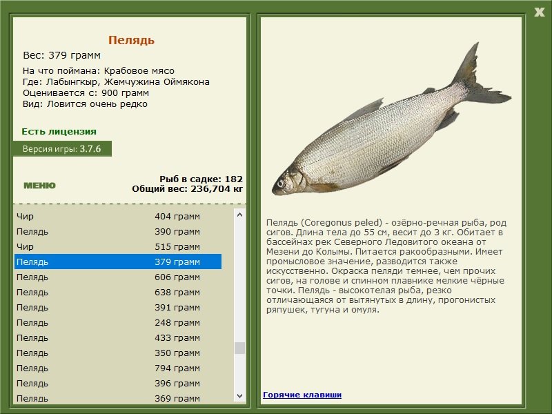 турниры • РУССКАЯ РЫБАЛКА
