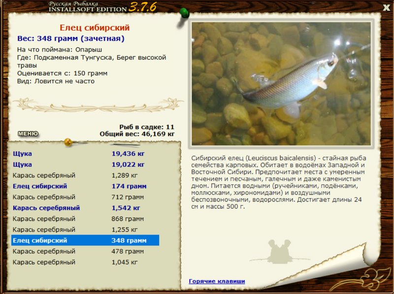 турниры • РУССКАЯ РЫБАЛКА