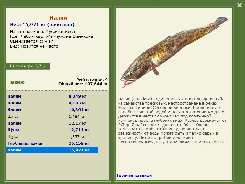 турниры • РУССКАЯ РЫБАЛКА