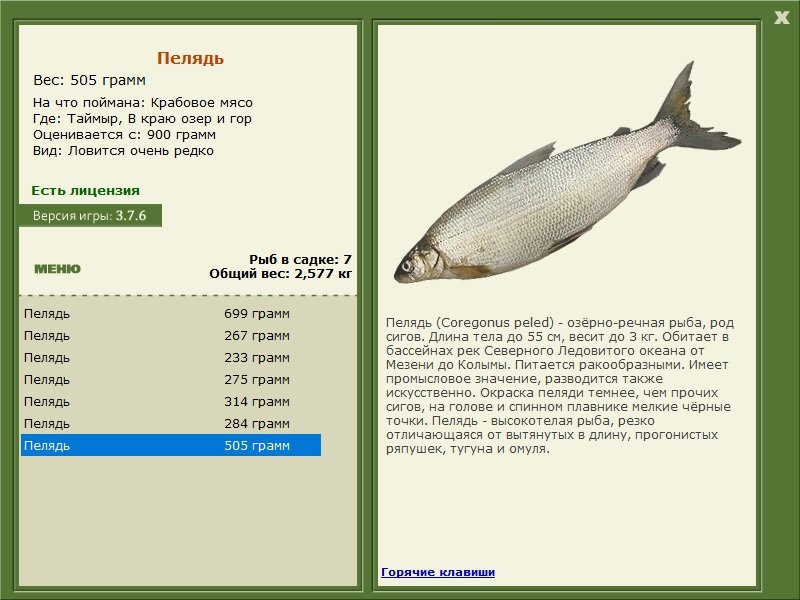 турниры • РУССКАЯ РЫБАЛКА