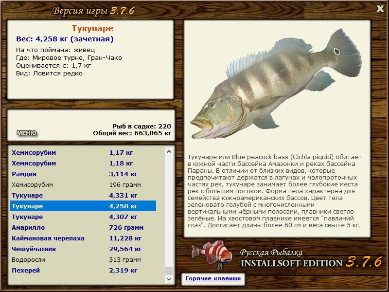 турниры • РУССКАЯ РЫБАЛКА