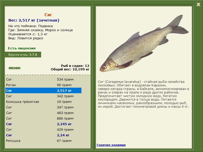 турниры • РУССКАЯ РЫБАЛКА