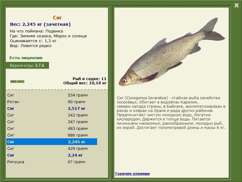 турниры • РУССКАЯ РЫБАЛКА