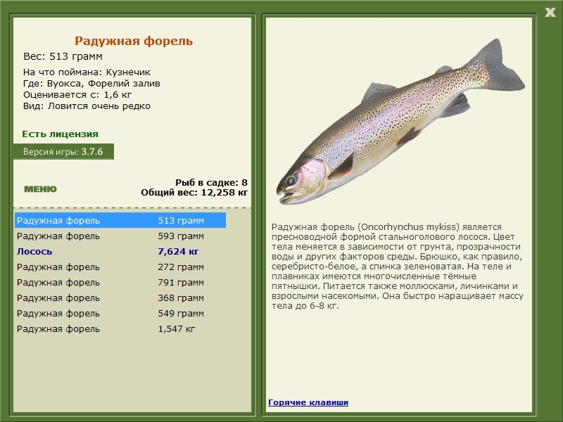 турниры • РУССКАЯ РЫБАЛКА