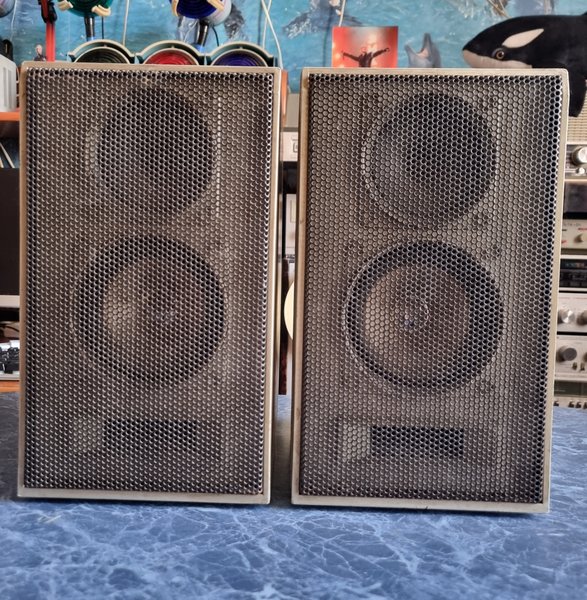  Протянов Никита Михайлович. Город Караганда.