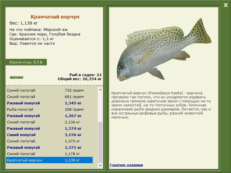 турниры • РУССКАЯ РЫБАЛКА