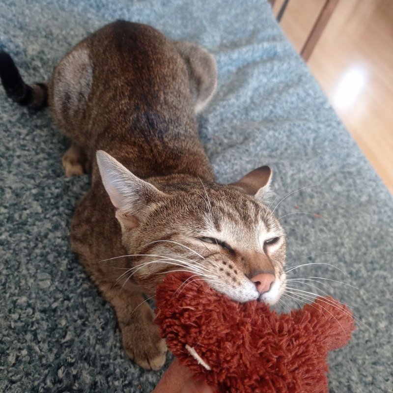 Наши находки