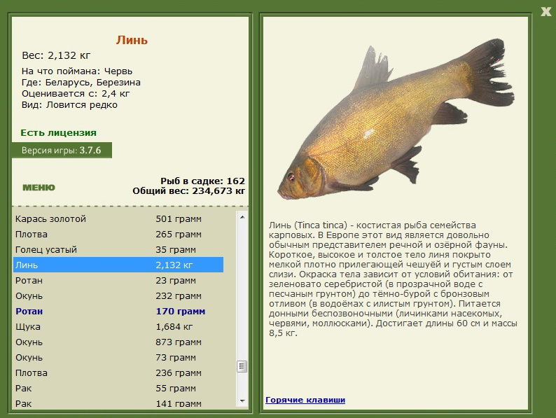 турниры • РУССКАЯ РЫБАЛКА