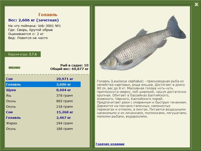  Нечет • Praise-турниры • РУССКАЯ РЫБАЛКА