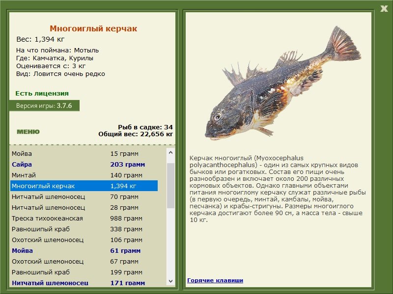 турниры • РУССКАЯ РЫБАЛКА