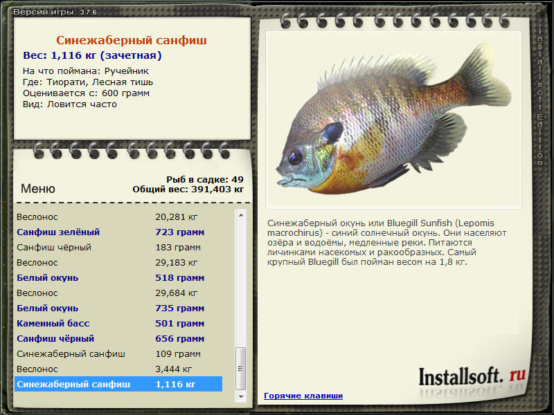  забор • Praise-турниры • РУССКАЯ РЫБАЛКА